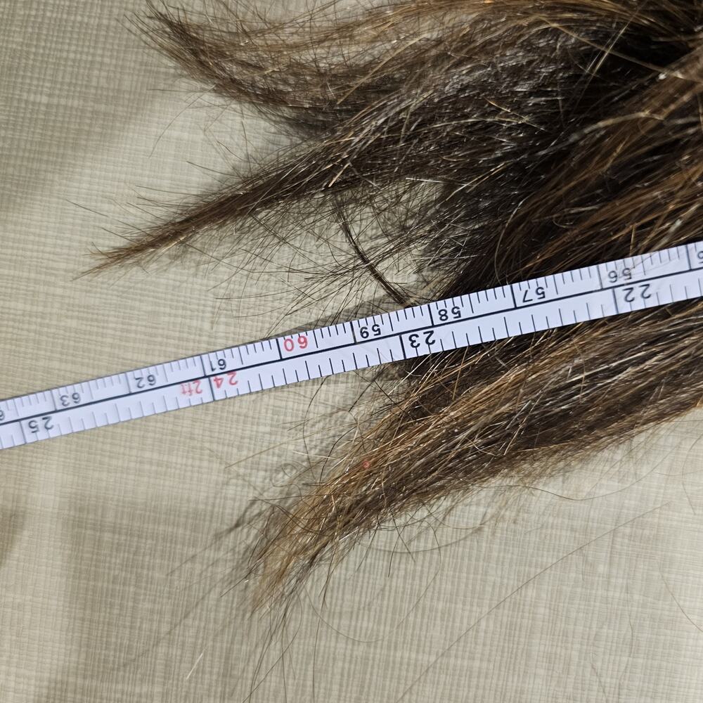 Raquel Welch Wig Brunette with Highlights Front Lace Tru2Life - Picture 14 of 14